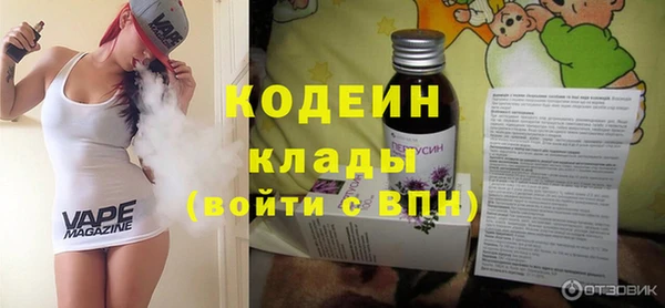 индика Бронницы