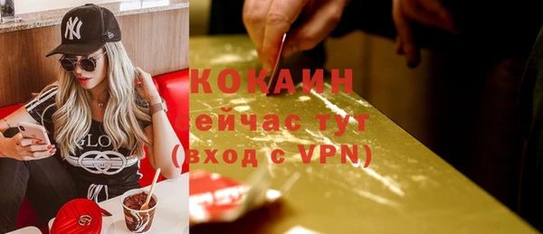 индика Бронницы