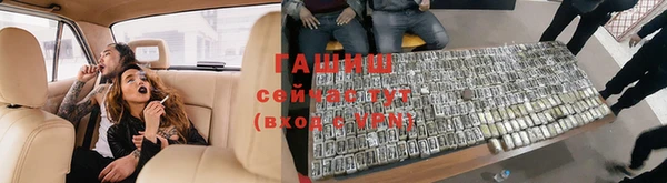 индика Бронницы