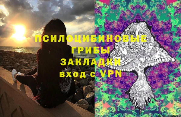 индика Бронницы