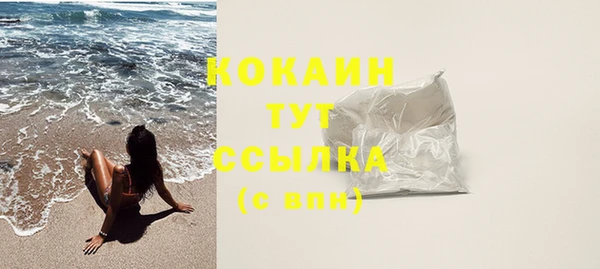 индика Бронницы