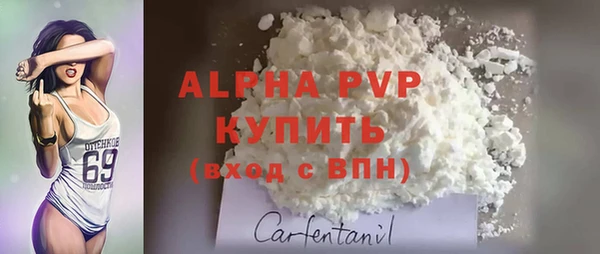 индика Бронницы