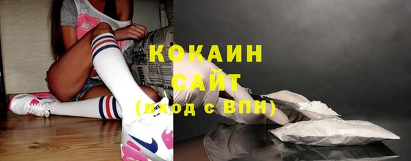 хмурый Бородино