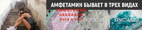 индика Бронницы