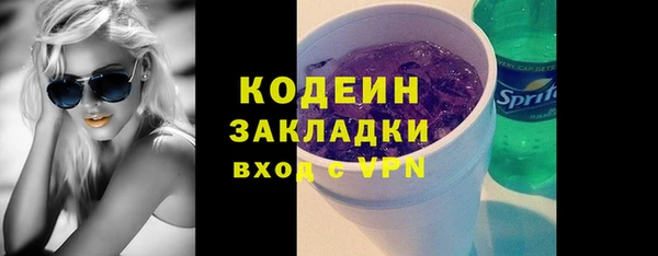 хмурый Бородино