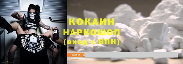 хмурый Бородино