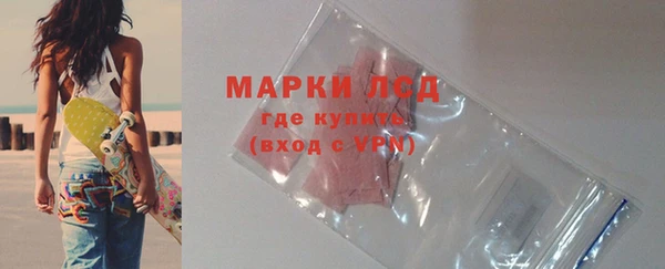 индика Бронницы