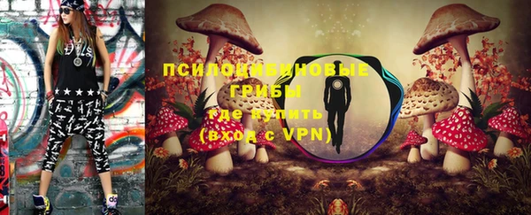 индика Бронницы