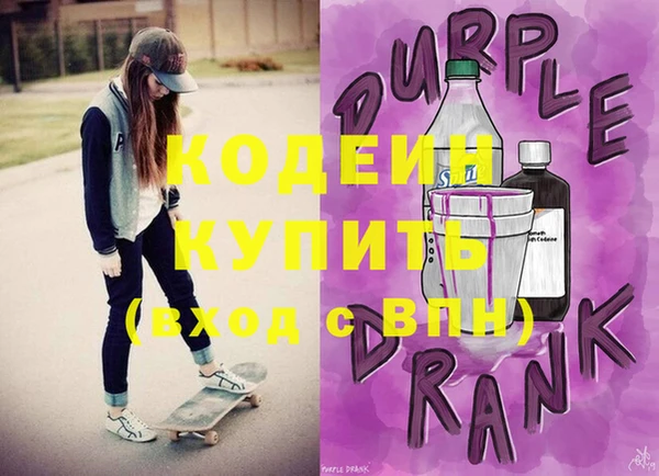 индика Бронницы