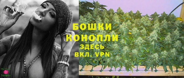 индика Бронницы