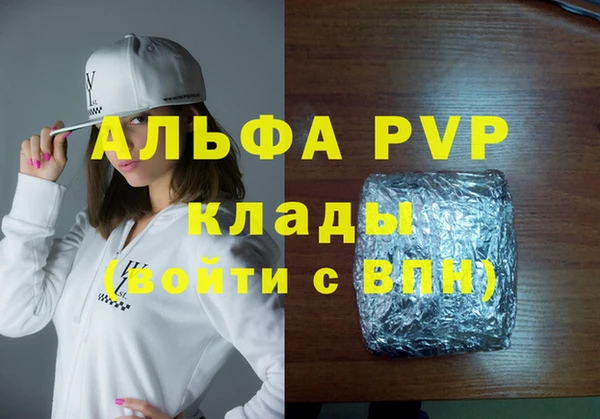 индика Бронницы