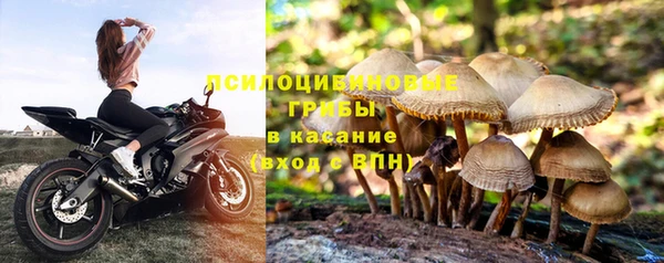 хмурый Бородино