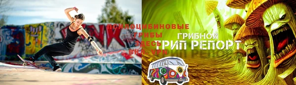 ПСИЛОЦИБИНОВЫЕ ГРИБЫ Бугульма