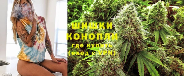 ПСИЛОЦИБИНОВЫЕ ГРИБЫ Бугульма