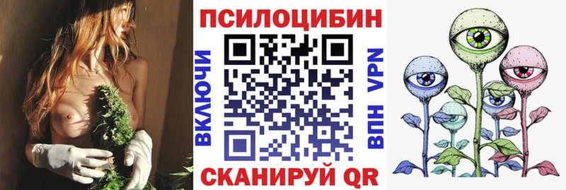 Псилоцибиновые грибы Cubensis  Крым 